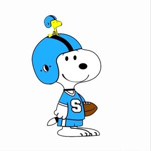 FOOTBALL FANS Preseason Starts 7-31-25 🏈